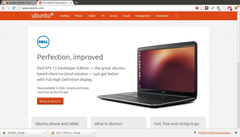 The world's most popular free OS | Ubuntu - Chromium_006